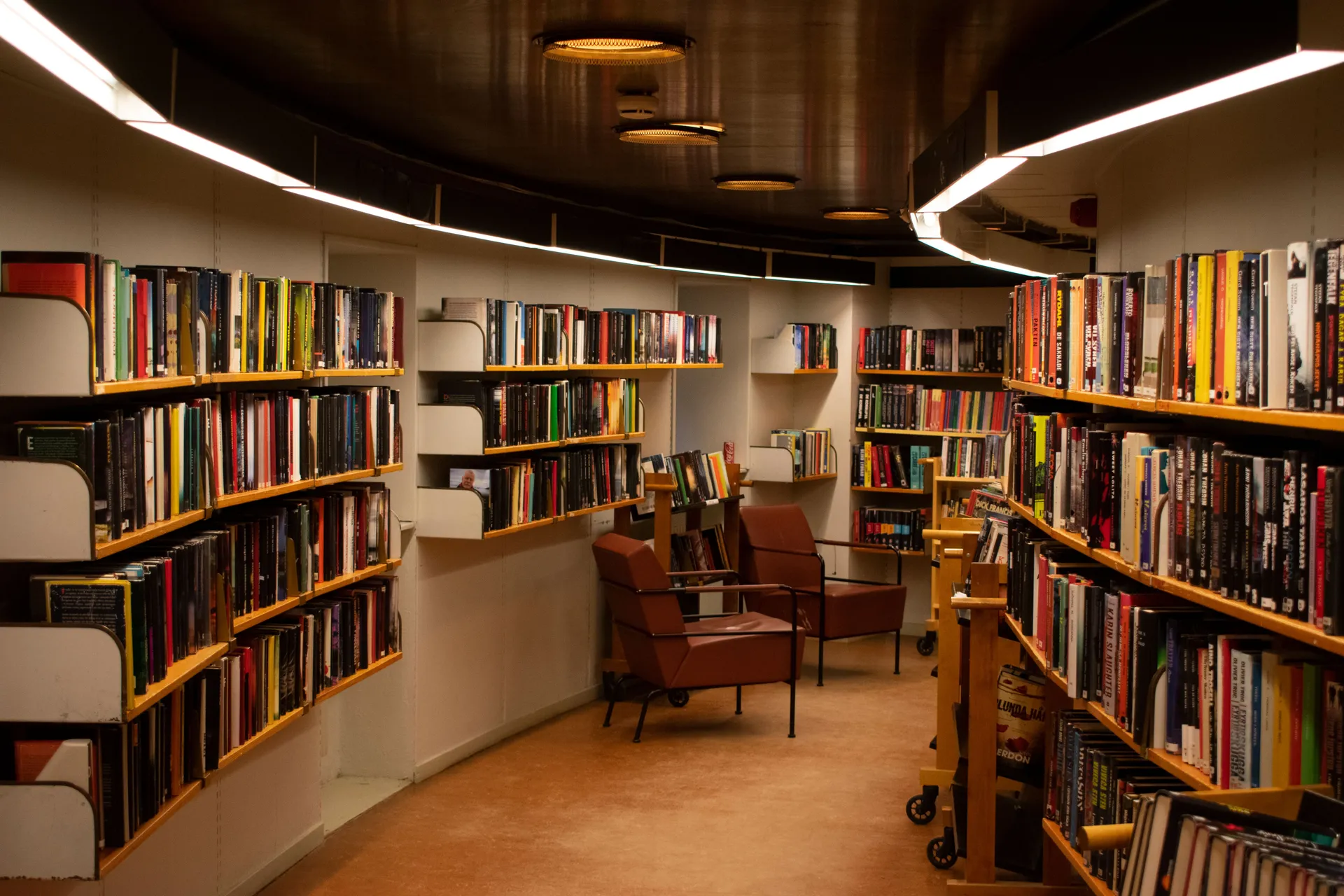 Cozy bookstore